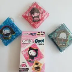 サンリオ キャラクター マルチケース マイメロ、ポチャッコ、シナモン 3点セット