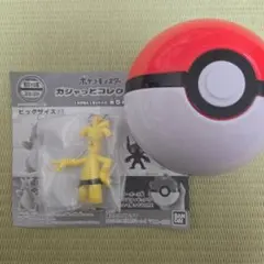 ポケットモンスター ガシャっとコレクト05 サーフゴー ガチャ