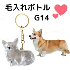 残り３点 G14 大 コーギー 犬の毛 キーホルダー 収納 記念 思い出 置き物