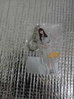 西野七瀬 齋藤飛鳥 アクリルキーホルダー 乃木坂46（？） - メルカリ
