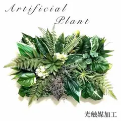 2025年最新】ディフェンバキアの人気アイテム - メルカリ