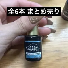 Seria マグネットジェル ジェルネイル 6本 まとめ売り 美品 匿名配送