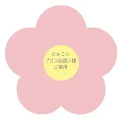 たぁこ☆プロフ必読☆様　ご専用