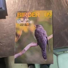 2026年最新】birder 2024の人気アイテム - メルカリ