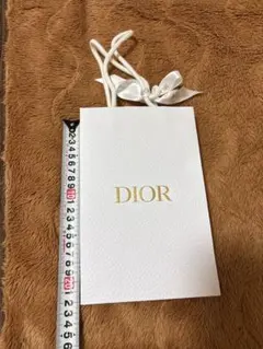DIOR 紙袋　リボン