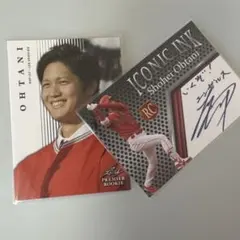 Item thumbnail for item 387f5769-2f4a-42b4-a3fe-a0857fafc65f