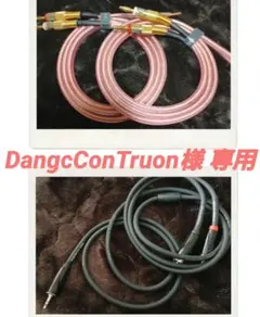 Item thumbnail for item 9b98e966-5f23-4731-b896-10ad30dcb3da