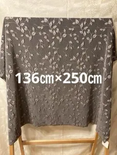 Item thumbnail for item 6bd9d004-3bee-47ac-af78-83cdcda17669