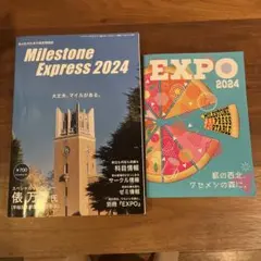 Item thumbnail for item b20de198-3187-49f8-a54f-82a98e47299d