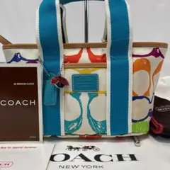 【未使用品/タグ付/付属品完備】コーチ 5659 スクリブル ハンドバッグ