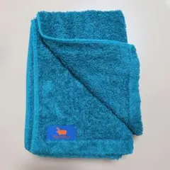 ヒポポタマス　フェイスタオル カリビアンブルーのサムネイル