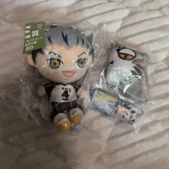 ハイキュー　木兎光太郎　セット