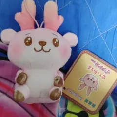 岩下の新生姜 イワシカちゃん ふくや ましゅもっち ひとくちサイズ