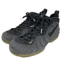 Nike Air Foamposite Fleece 624041-007