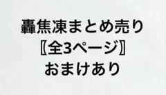 ヒロアカ 轟焦凍 まとめ売り