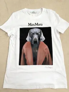 【新品未使用タグ付‼️】MAX MARA 大人気コットン 犬　Tシャツ　ピンク　S 2026年最新】maxmara tシャツ 犬の人気アイテム - メルカリ