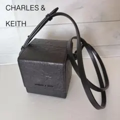 【未使用品】CHARLES & KEITH スクエア ショルダーバッグ 黒のサムネイル
