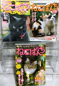 ☆美品　ねこぱんち No.217 218 219　3冊セット　2025年8月迄☆