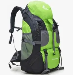 Item thumbnail for item 363ca12b-7c3b-45d1-bcdc-2d64f51e2985