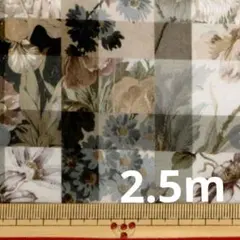 2.5m リバティ＊タナローン＊アーカイブギンガム CE