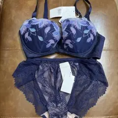 Wacoal ALULA ブラジャーショーツセット F80 LL Wacoal ALULA ブラジャーショーツセット F80 LL - メルカリ