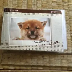 Item thumbnail for item e02cd54e-9f8f-44fd-92f6-900c47c27c12