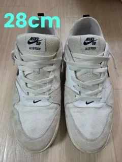 Nike SB Alleyoop ホワイト/グレー