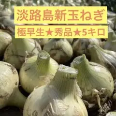 淡路島新玉ねぎ★甘くてみずみずしい旬の味★ 極早生★秀品★5キロ