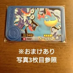 ポケモンフレンダピック　ベストタッグ1弾トレジャー　オーダイル
