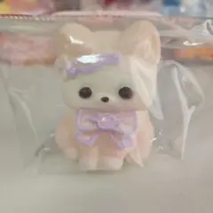 Dodomi studio スクイーズ