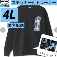 猫氏様 リクエスト 2点 まとめ商品