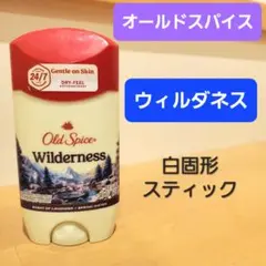 新品】【即日発送】 オールドスパイス オアシス 73g 白スティック