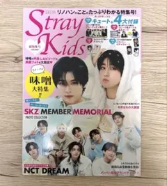 StrayKids KSTAR超特集号