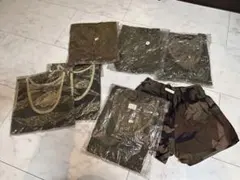 Item thumbnail for item a7f62d1a-4152-4b36-9ff7-6cb0f1e92e1b