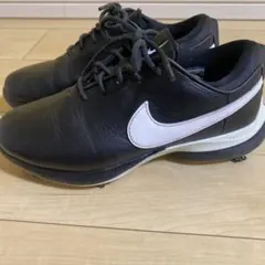 Item thumbnail for item 1c56840b-3cb4-4eb8-b6e2-1fa8e32d3941