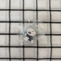 straykids skzoo Jiniretヒョンジン サウナフィギュア