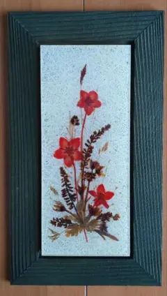 約40年前にドイツのニュルンベルクで購入した押し花の壁掛け
