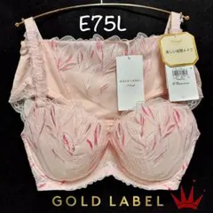 E75L トリンプ プレミアム ゴールドレーベル 3085 ブラ＆ショーツ PK
