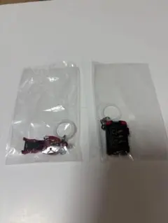 スーパー戦隊シリーズ めじるしアクセサリー レンジャーキー マスターライセンス