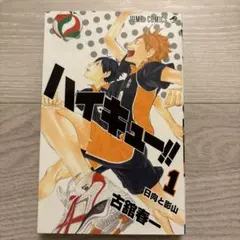 裁断済み ハイキュー!! 全巻＋関連本8冊セット