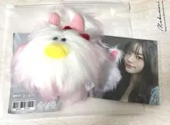illit アイドル