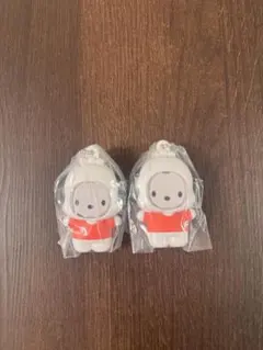 ポチャッコ　フォトフレームマスコット　サンリオ　２点