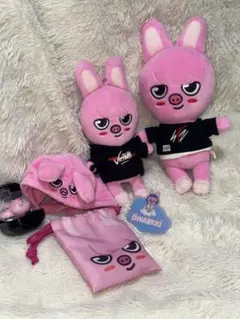 Stray Kids DWAEKKI チャンビン POPUP ぬいぐるみ 未開封 - メルカリ