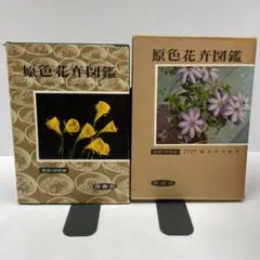 원색 화분 도감 위 보육사 꽃의 도감 식물 도감
