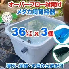 メダカ飼育ケース 56㍑x5個 白黒灰選択可 オーバーフロー付 メダカ飼育