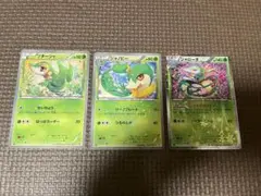 ポケモンカード　シャイニーコレクション　ツタージャ　ジャノビー　ジャローダ