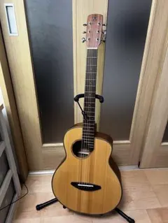 aNueNue Bird Guitar aNN-M10E エレアコ
