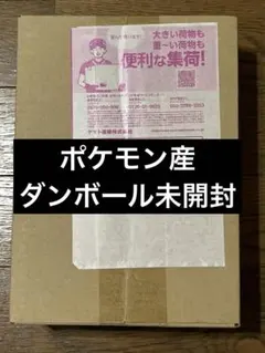 ダンボール未開封 シュリンク付き新品未開封】ストームエメラルダ