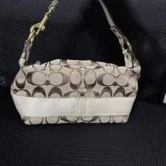 ⭐︎専用出品⭐︎coach コーチシグネチャー　キャンバス　アクセサリーポーチ