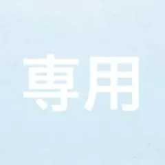 専用ページ